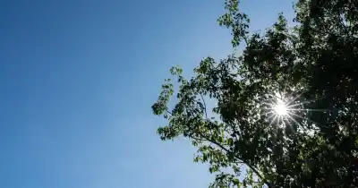 El frío no afloja: así arranca la semana en Rosario, con sol y un cambio de clima a la vista