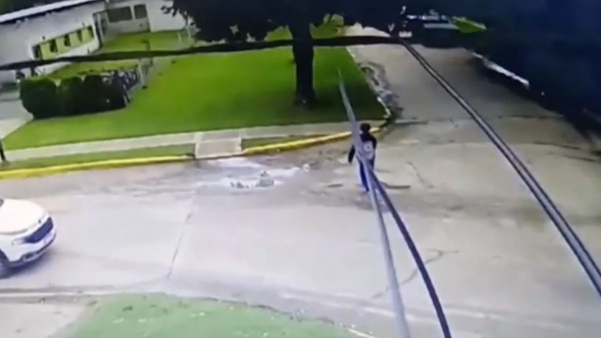 camara-seguridad-maitena.jpg
