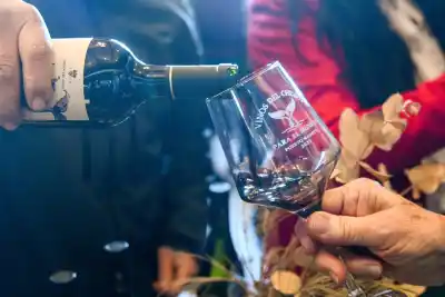 El vino patagónico busca su lugar en el mundo: Puerto Madryn se prepara para el gran encuentro provincial