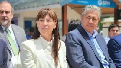 El límite que no se grita: cómo Neuquén frenó la extranjerización de tierras sin romper con la Casa Rosada