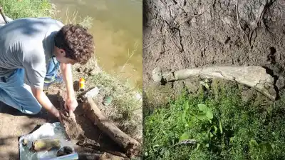 Hallazgo en Rojas: Un pescador encontró un hueso gigante que podría cambiar la historia local