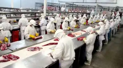 La Región Centro busca diferir tarifas eléctricas para salvar a la agroindustria
