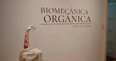 El cuerpo como lienzo: la nueva muestra que fusiona tatuaje, memoria e inteligencia artificial en el Museo Minnicelli