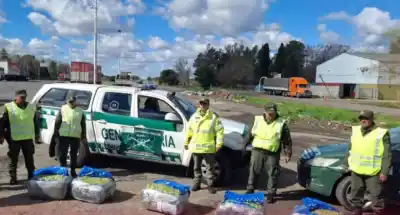 Un olor delató un cargamento ilegal en la Ruta 9: hallaron 115 kilos de coca en encomiendas