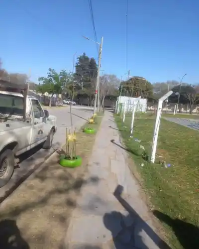 Plantaron 20 árboles en el Polideportivo de Valle Hermoso y piden un favor a los vecinos