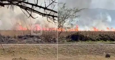 Zona sur en alerta: un incendio de gran magnitud mantiene en vilo a los vecinos
