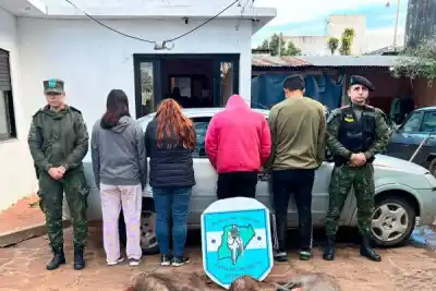 Hallaron en un baúl lo que nadie esperaba: tres carpinchos faenados y armas modificadas