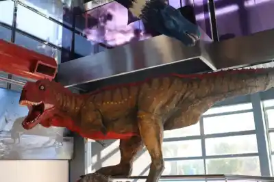 Noche de linternas y juegos solidarios: el plan imperdible del Museo de Ciencias Naturales para las infancias
