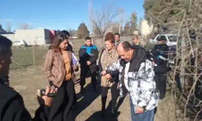 Juicio por envenenamiento de perros: definen penas mientras los animales sufrieron una agonía que nadie olvida