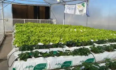 El Ceret abre sus puertas: la cita hortícola que ningún productor puede perderse