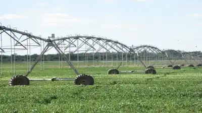 El secreto escondido en el campo argentino: la clave para miles de empleos y millones de toneladas extra
