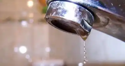 La pesadilla del agua en La Plata: del líquido marrón a quedarse sin una gota
