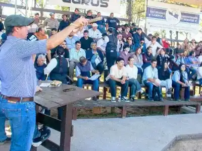 Un toro se vendió en 16 millones: el remate que celebró 25 años de trabajo en Formosa