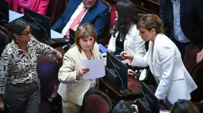 El duro cuestionamiento de una senadora aliada al Gobierno por la Ley de Tierras: “Faltó debate público e información”