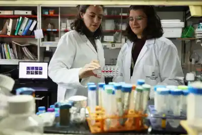 El CONICET dejó sin prórroga a becarios postdoctorales: qué pasará con 379 investigadores