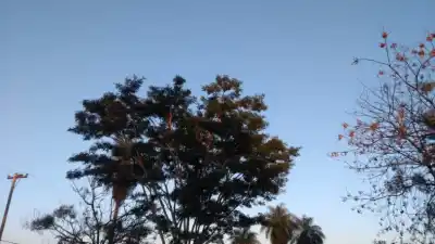 El clima en Misiones: jornada agradable pero con sorpresas en el norte