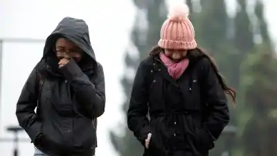 Alerta en Neuquén: nevadas, viento blanco y hasta 13 grados bajo cero este lunes
