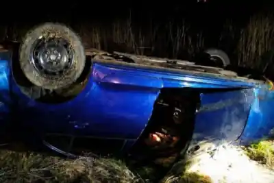 Un carpincho en la ruta provocó un vuelco con La Gauchita Cumbiera a bordo