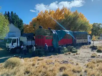 Las familias productoras de Neuquén recibirán un nuevo refuerzo millonario: los detalles