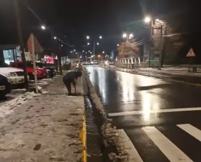 Alerta en Bariloche: la semana arranca con heladas y el jueves el frío tocará fondo