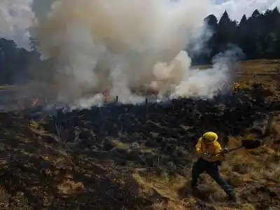 Incendios que esconden un negocio millonario: la alarmante cifra que detectó el INTA