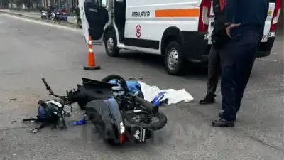 Chocó contra un caballo en la Ruta 9 y terminó gravemente herido: qué se sabe