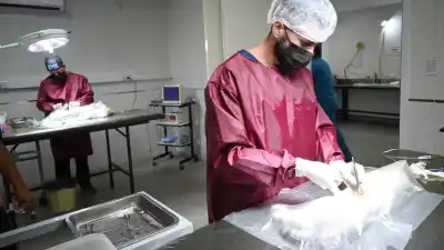 Mascoteros atentos: el Quirófano Externo estará esta semana en Huaico y Che Guevara