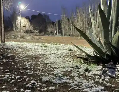 La Humada amaneció cubierta de nieve: el impactante registro que sorprendió a los vecinos