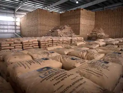 El azúcar tucumano conquista mercados: ¿Qué cifras revelan el crecimiento de las exportaciones?