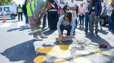 Una perra atropellada y abandonada podría cambiar la ley en Salta: llega la 'Ley Lola'