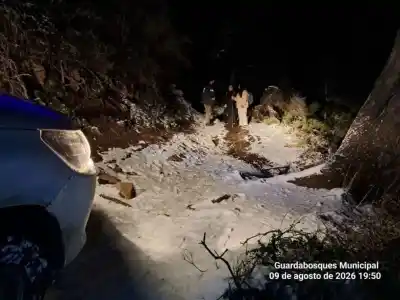 El operativo nocturno que terminó con final feliz: rescataron a dos turistas en el Bosque de Arrayanes