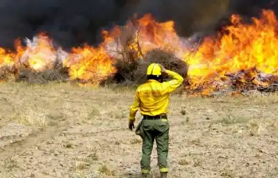 Alerta máxima en Catamarca: el viento y la sequía encienden las alarmas por incendios