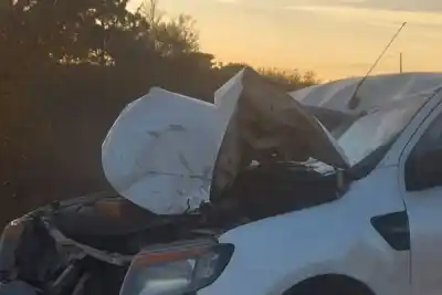 Un caballo suelto en la ruta desató una cadena de choques en Corrientes