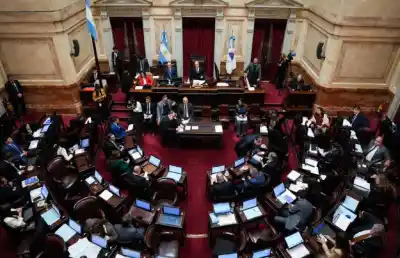Media sanción en el Senado: la Ley de Inviolabilidad de la Propiedad Privada avanza y enciende las calles