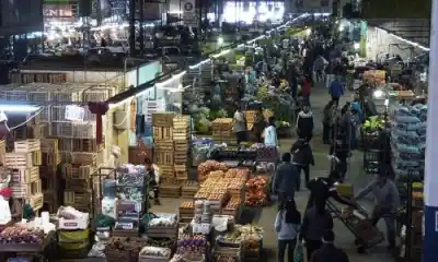 El kilo de papa a $2.500 y ventas por el piso: la dura radiografía de Cofruthos