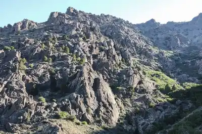 El bosque oculto de Neuquén que guarda árboles con más de 1.300 años