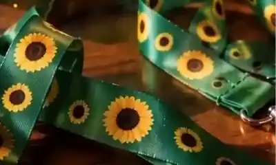 El detalle del cordón verde que cambiará la vida de muchos en Trelew