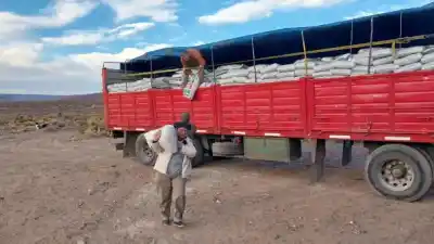 Impactante inversión en Neuquén para salvar a los productores: ¿qué se esconde detrás?