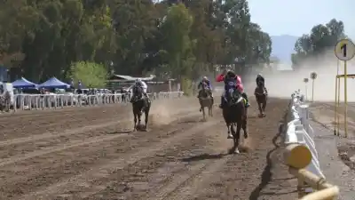 La insólita razón por la que arrastraron a un caballo en el Jockey Club de San Juan