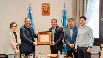 La apuesta millonaria de una empresa que encendió un parque solar en Calingasta y promete energía para 3.200 hogares