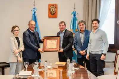 El plan energético que ilusiona a San Juan: qué promete el nuevo parque solar