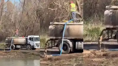 El impactante video que delató a una constructora y derivó en una multa millonaria