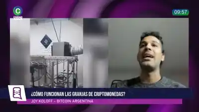 Criptomonedas y lavado: qué hay detrás de la granja hallada en el caso Exen