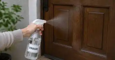 El truco del vinagre en la puerta que promete ahuyentar hormigas y dejar impecable tu entrada