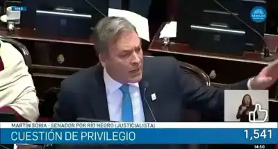 Piccinini apuntó contra Soria: “No tenés vergüenza Martín”