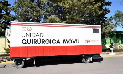Castraciones gratuitas: el quirófano móvil ya tiene nuevo recorrido por los barrios de Trelew