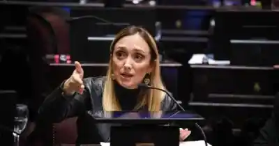 El reclamo de Anabel: su proyecto para que ninguna senadora embarazada pierda su voto
