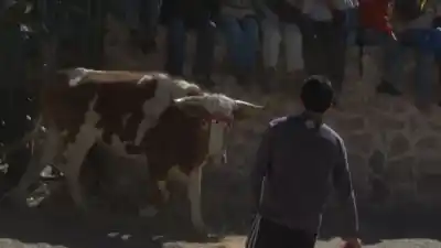 El secreto de Casabindo: un documental rescata la única corrida de toros sin sangre de Argentina