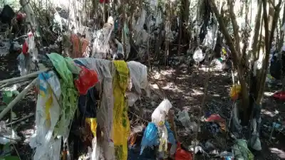 El Niño ya preocupa en Paraná: vecinos reclaman obras urgentes y denuncian décadas de abandono