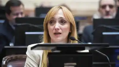 El proyecto de Fernández Sagasti para que las senadoras embarazadas voten sin viajar